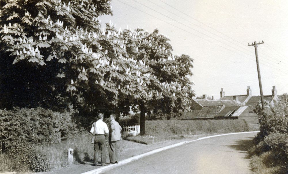 Mill Lane near Old School