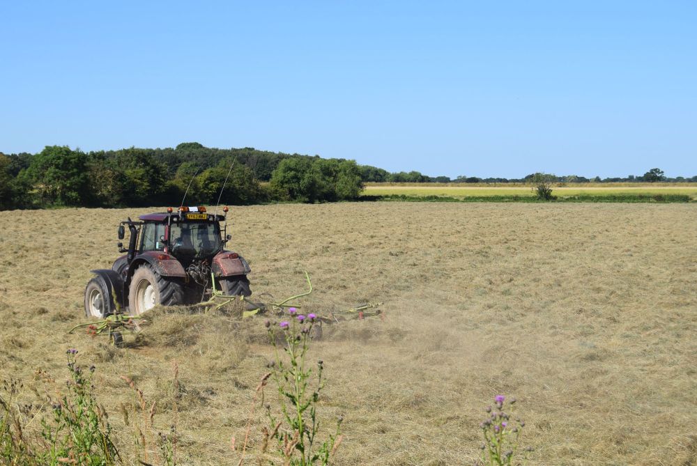 Acaster South Ings