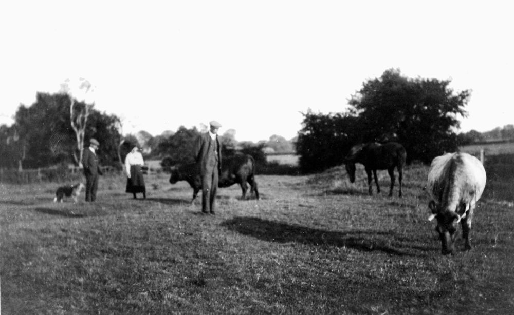 Paddock at Southfield