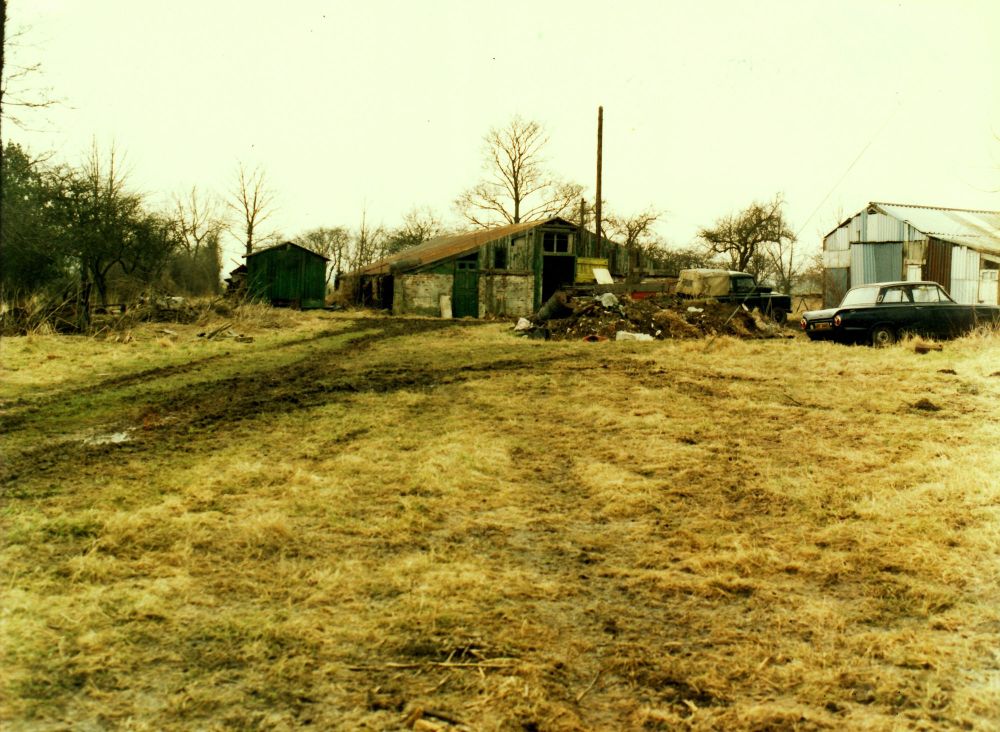 Piggeries on site of diving school 1