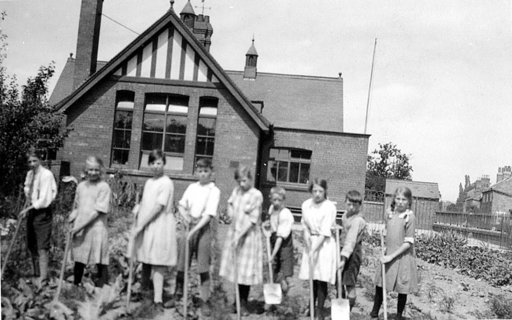 School gardening