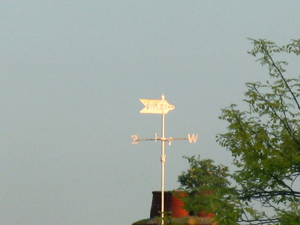 School weathervane