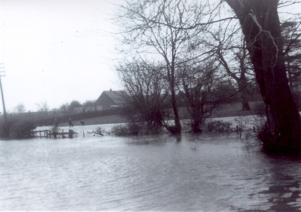 Acaster Lane flood (3)