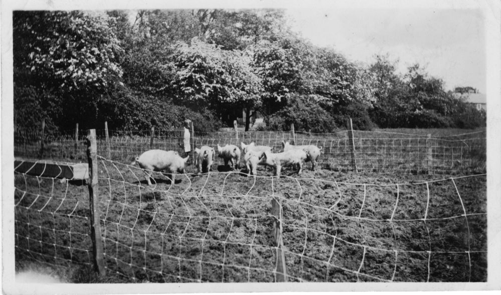 Woolas Hall Farm