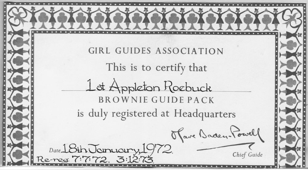 Brownies certificate