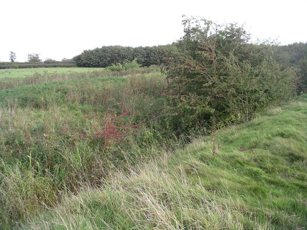 Brocket Hall moated site - double ditches