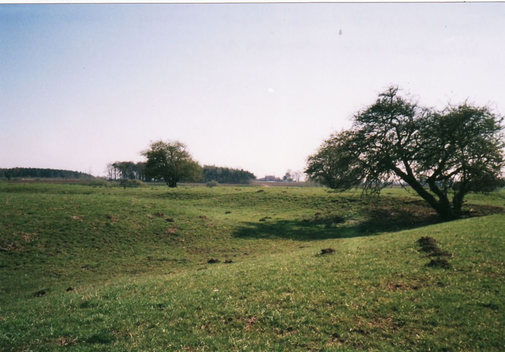 Moated site at Acaster Selby