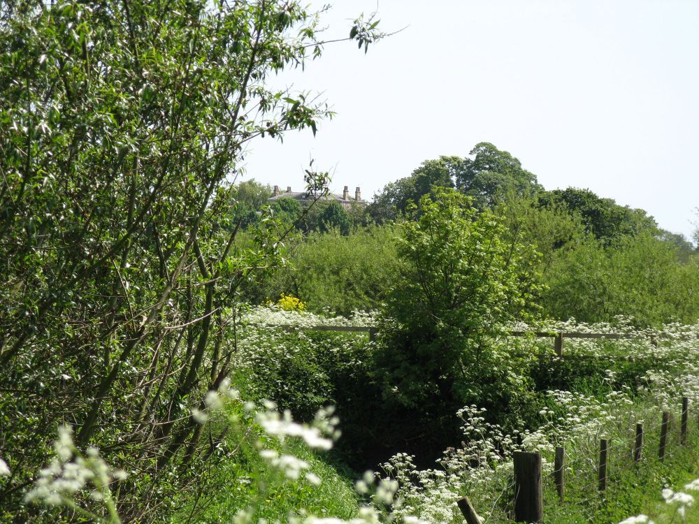 Stillingfleet House from Acaster Selby
