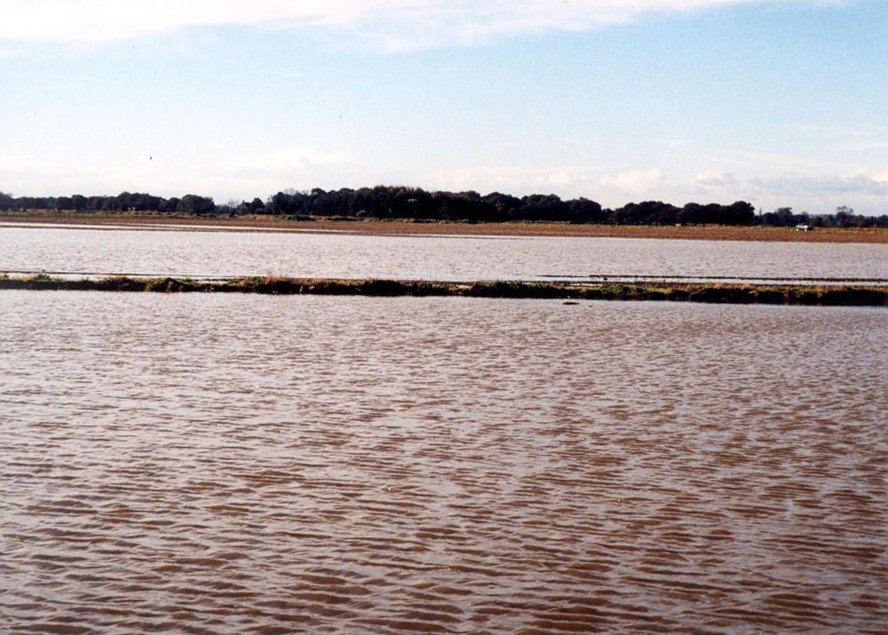 Acaster Airfield flood