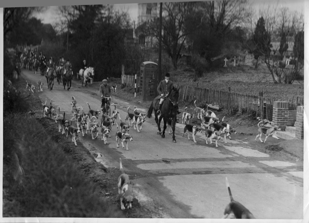 Hunt, Bolton Percy