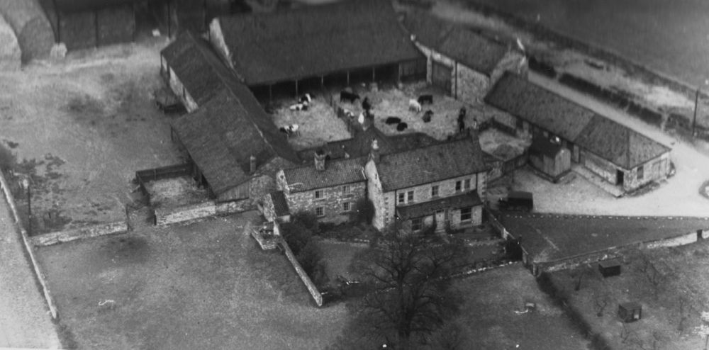 Farm near Railway