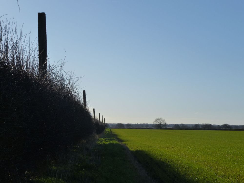 Anti-aircraft posts, Colton Lane