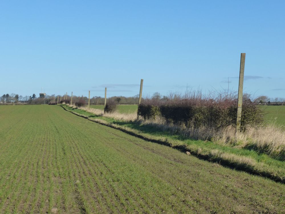 Anti-aircraft posts, Colton Lane