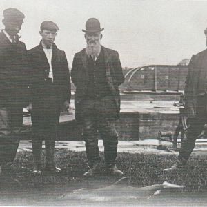 Porpoise landed at Naburn Lock