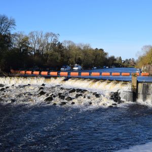 Weir at Acaster Malbis