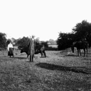 Paddock at Southfield