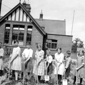 School gardening