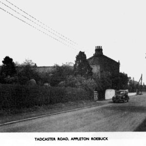 Appleton Roebuck: road to Tadcaster (postcard)