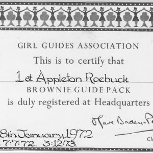 Brownies certificate