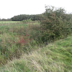 Brocket Hall moated site - double ditches