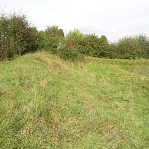 Brocket Hall moated site - bank