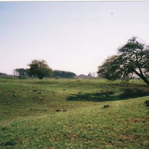 Moated site at Acaster Selby