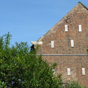 Barn at College Farm Acaster Selby during renovation