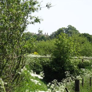 Stillingfleet House from Acaster Selby