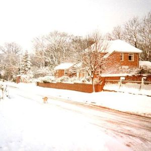 Main Street, Bolton Percy, under snow