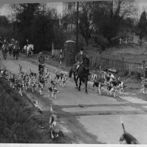 Hunt, Bolton Percy